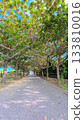 Sunny day walk way 133810016