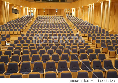 Concert hall audience seats before the performance Concert hall audience seats before the performance 133810125