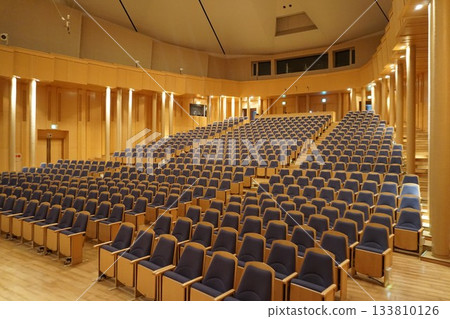 Concert hall audience seats before the performance Concert hall audience seats before the performance 133810126