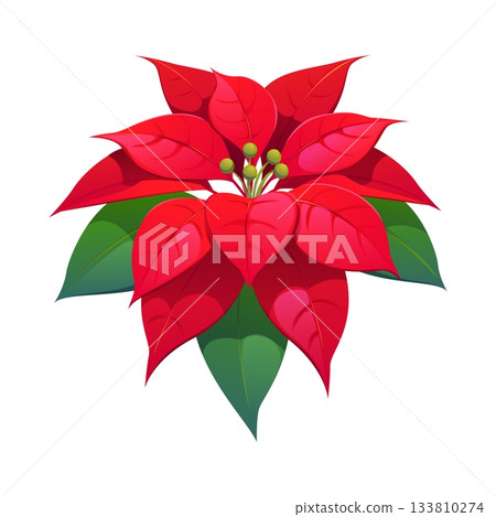 Christmas poinsettia flower for winter holiday decor of Xmas wreath, vector cartoon icon. Christmas poinsettia flower for advent wreath or New Year decor ornament and Xmas Eve garland decoration Christmas poinsettia flower for winter holiday decor of Xmas wreath, vector cartoon icon. Christmas poinsettia flower for advent wreath or New Year decor ornament and Xmas Eve garland decoration 133810274