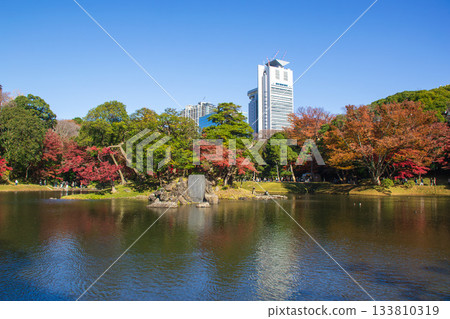 Autumn scenery of Koishikawa Korakuen 133810319
