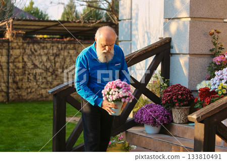 Senior man carrying pink chrysanthemum pot in garden Senior man carrying pink chrysanthemum pot in garden 133810491