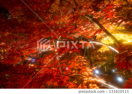 Kyoto: Autumn foliage illuminations at Nanzenji Temple and Eikando Temple Kyoto: Autumn foliage illuminations at Nanzenji Temple and Eikando Temple 133810515