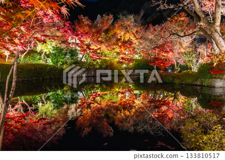 Kyoto: Autumn foliage illuminations at Nanzenji Temple and Eikando Temple 133810517