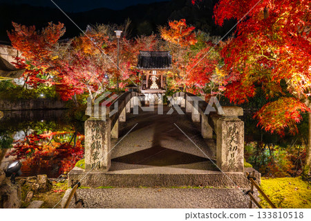 Kyoto: Autumn foliage illuminations at Nanzenji Temple and Eikando Temple Kyoto: Autumn foliage illuminations at Nanzenji Temple and Eikando Temple 133810518