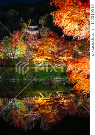 Kyoto: Autumn foliage illuminations at Nanzenji Temple and Eikando Temple Kyoto: Autumn foliage illuminations at Nanzenji Temple and Eikando Temple 133810519