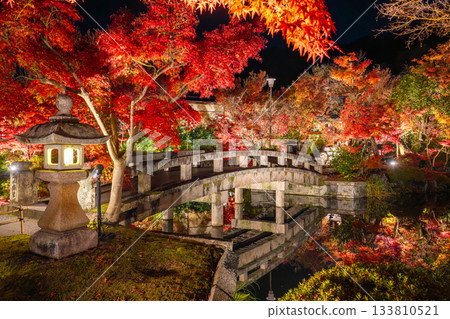 Kyoto: Autumn foliage illuminations at Nanzenji Temple and Eikando Temple Kyoto: Autumn foliage illuminations at Nanzenji Temple and Eikando Temple 133810521