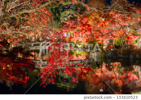 京都：南禪寺與永觀堂的秋葉燈飾 133810523