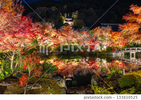 京都：南禪寺與永觀堂的秋葉燈飾 133810525