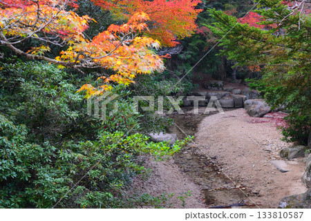 Autumn leaves at Momijidani Park in Miyajima, Aki Autumn leaves at Momijidani Park in Miyajima, Aki 133810587