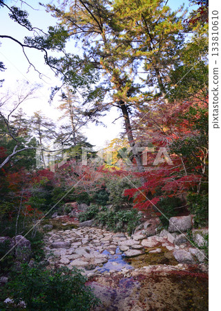 秋日宮島紅葉谷公園的秋葉 秋日宮島紅葉谷公園的秋葉 133810610