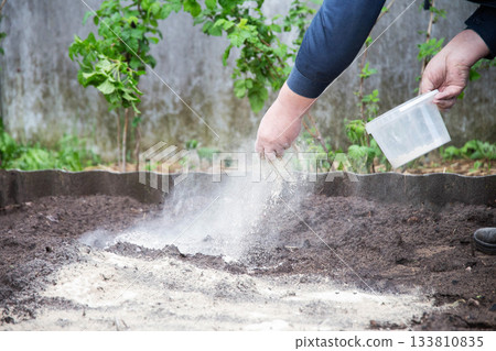 A man deacidifies the soil with dolomite flour and fertilizer in the garden in autumn. Increasing crop yields, copy space for text, summer resident A man deacidifies the soil with dolomite flour and fertilizer in the garden in autumn. Increasing crop yields, copy space for text, summer resident 133810835