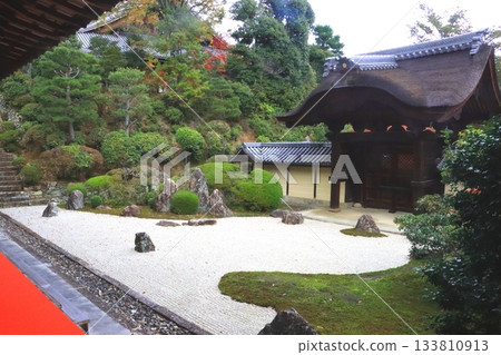 秋天的光明寺(長岡京市欽差門) 秋天的光明寺(長岡京市欽差門) 133810913
