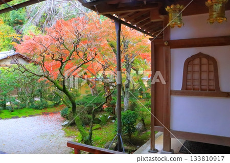 Komyo-ji Temple in autumn (Nagaokakyo City) Komyo-ji Temple in autumn (Nagaokakyo City) 133810917