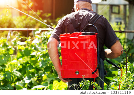 A pensioner with a modern red sprayer treats plants in the summer at his dacha. Increasing yield with succinic acid. Copy space for text, industry A pensioner with a modern red sprayer treats plants in the summer at his dacha. Increasing yield with succinic acid. Copy space for text, industry 133811119