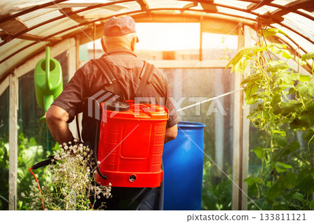A summer resident treats plants in the summer from parasites. Plant protection from diseases, copy space for text, industry A summer resident treats plants in the summer from parasites. Plant protection from diseases, copy space for text, industry 133811121