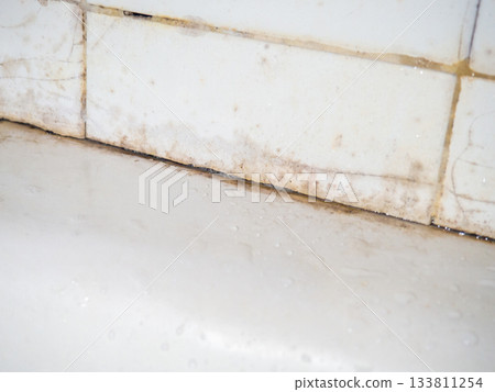 Dirty tiles in the bathroom. Black dots on bathroom enamel. Mold in the bathroom. Need a cleaning product.  Cleaning product concept 133811254