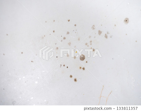 Mold on the enamel in the bathroom. Mold spores in the bathroom. Black dots on a white background. The problem of everyday life. The need for a cleaning product. 133811357