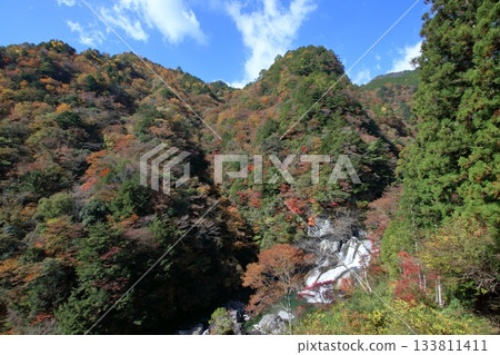 瀨戶川溪谷:美麗的秋日溪谷(高知縣土佐町) 瀨戶川溪谷:美麗的秋日溪谷(高知縣土佐町) 133811411