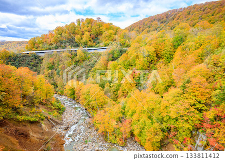 Autumn view from Tamagawa Onsen Bridge, Semboku City, Akita Prefecture 133811412