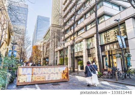 A famous spot at Tokyo Station: the view of Marunouchi Nakadori Street [Chiyoda Ward, Tokyo] 133811448