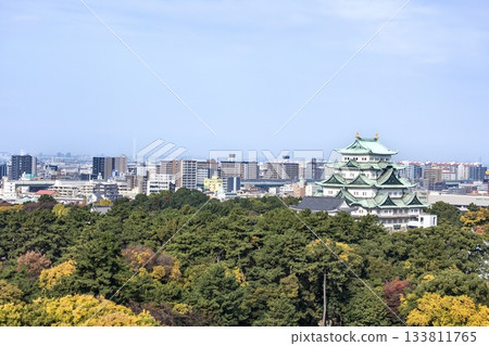 Nagoya City, Nagoya Castle tower and surrounding cityscape 133811765