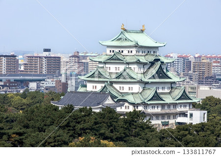 Nagoya City, Nagoya Castle tower and surrounding cityscape 133811767