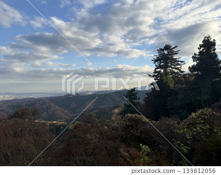 從山上看 133812056