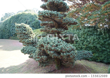 京都城南宮秋景 133812089