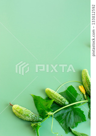 Summer harvest of crispy cucumbers laid out with empty copy space on the right 133812592