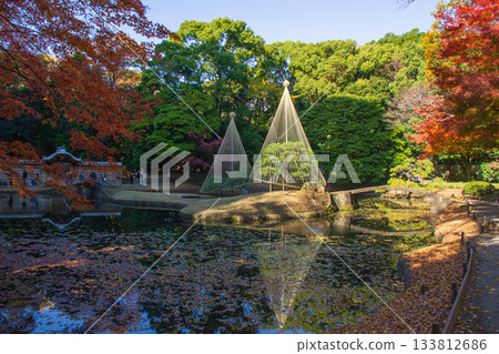 小石川後樂園的秋景 133812686