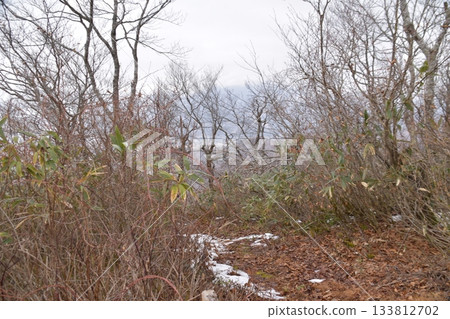 川木田山 133812702