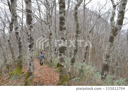 川木田山 川木田山 133812704