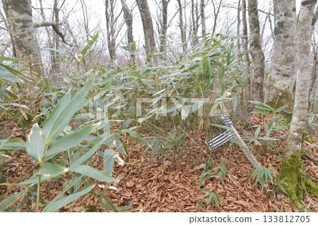 川木田山 133812705