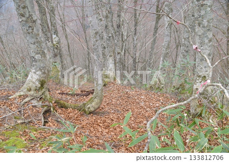川木田山 川木田山 133812706