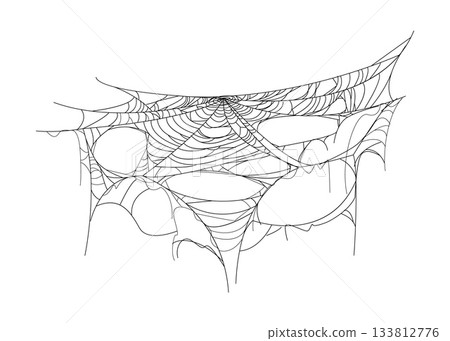 Cartoon Halloween spooky cobweb, spider web thread. Horror holiday hanging cobweb trap decor element, fall season celebration tangled spider web vector decoration. Halloween spooky spiderweb thread 133812776