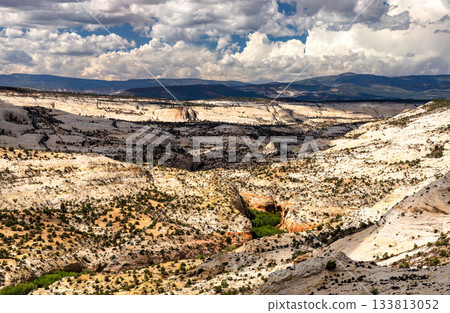 Scenic view of Calf Creek Canyon from Utah State Route 12 in Grand Staircase-Escalante National Monument. Lush green vegetation lines the creek bottom surrounded by sandstone cliffs under a cloudy sky Scenic view of Calf Creek Canyon from Utah State Route 12 in Grand Staircase-Escalante National Monument. Lush green vegetation lines the creek bottom surrounded by sandstone cliffs under a cloudy sky 133813052