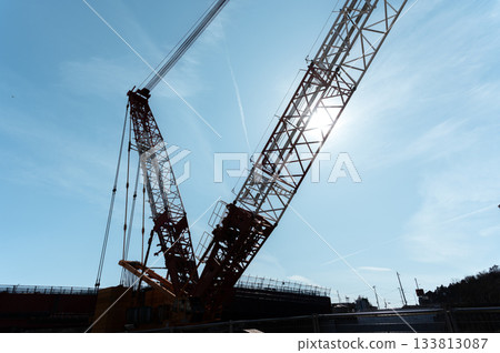 Crane Silhouette 133813087