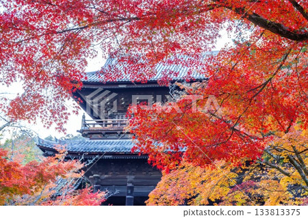 Nanzenji in autumn 133813375