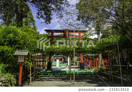 鹿兒島縣泉市泉樫栗神社的鳥居 133813910