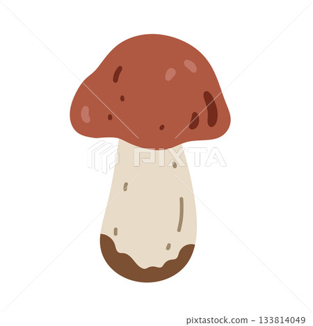 A brown mushroom isolated on a white background 133814049