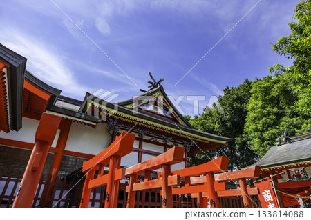 泉樫栗神社,神社建築,鹿兒島縣泉市 泉樫栗神社,神社建築,鹿兒島縣泉市 133814088