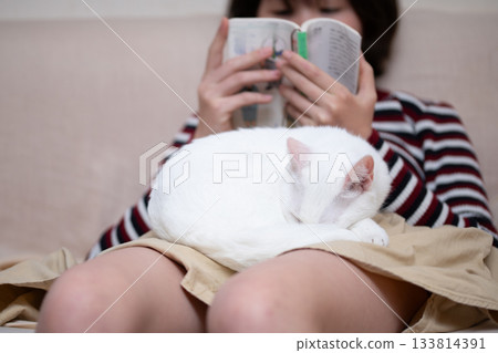 一隻貓懶洋洋地趴在女孩的腿上。 一隻貓懶洋洋地趴在女孩的腿上。 133814391