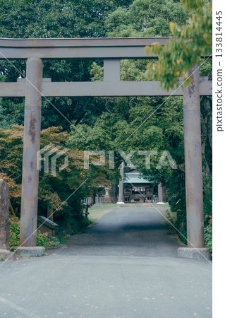 神社鳥居與參道的風景 神社鳥居與參道的風景 133814445