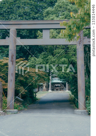 神社鳥居與參道的風景 神社鳥居與參道的風景 133814446