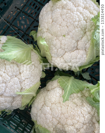 新鮮帶葉花椰菜（冬季蔬菜收成） 133814450