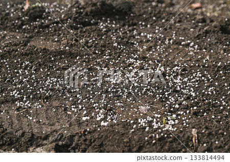 Vegetable field spread with dolomitic lime Vegetable field spread with dolomitic lime 133814494