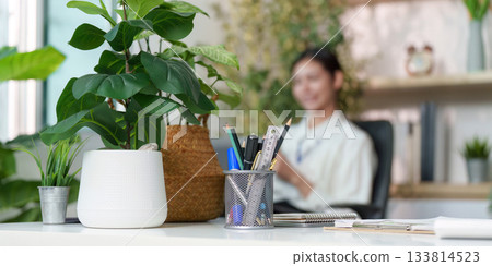 Stylish office with greenery and organized workspace 133814523