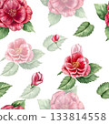 A clipart of high-quality watercolor images of pink camellia flowers on a white background Ideal for textiles and wrapping paper These wintery, tropical flowers will beautifully decorate any interior. 133814558