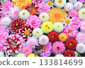 Flower water basin (dahlia) 133814699